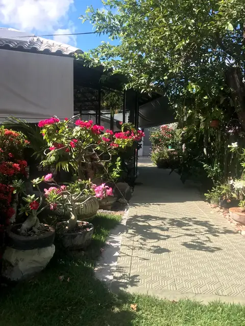 Caminho entre flores e plantas do jardim