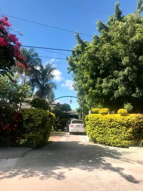 Caminho de entrada entre árvores e jardins